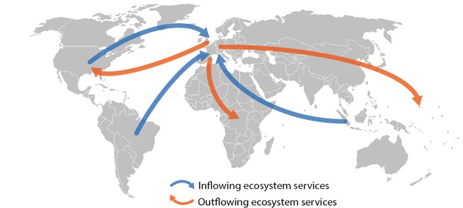 TWG 13 fig 1