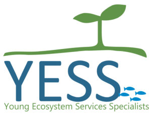 yess_logo