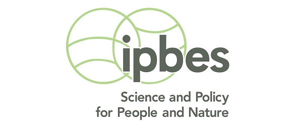 IPBES review call for values assessment