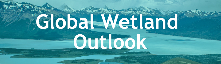 Global Wetland Outlook Special Edition: 2021