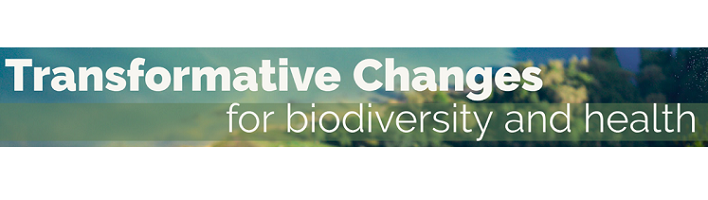 Transformative Changes for Biodiversity and Health