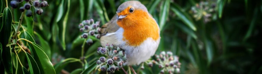 andrew-alexander-48IklXGGfZ0-unsplash